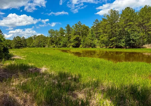 Homes for sale in Kirbyville, TX | Xxx Private Rd 5170, Kirbyville, TX 75956 | MLS# 5124095