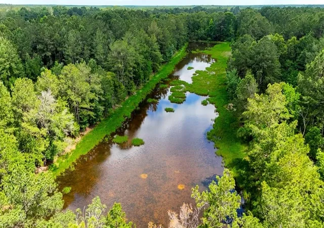 Homes for sale in Kirbyville, TX | Xxx Private Rd 5170, Kirbyville, TX 75956 | MLS# 5124095