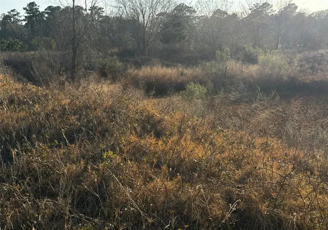 15th image of 0 Moonshine Hill Rd, Humble, TX 77338 | MLS# 13406687