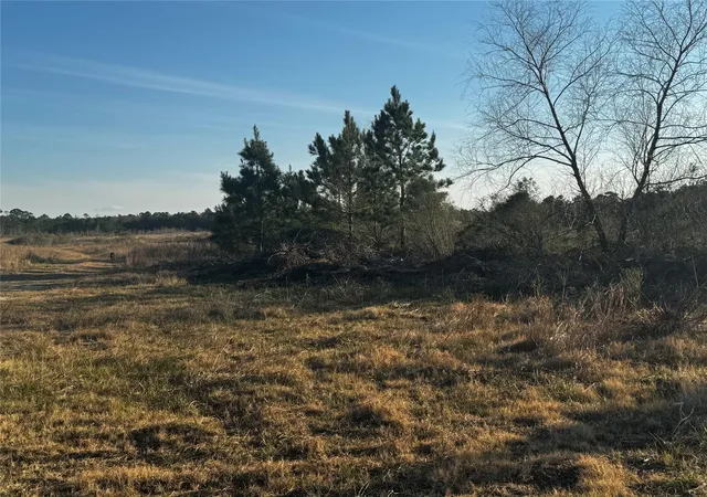 5th image of 0 Moonshine Hill Rd, Humble, TX 77338 | MLS# 13406687