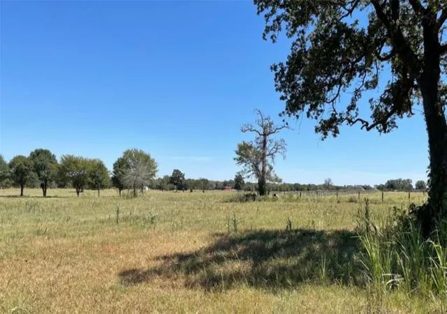Homes for sale in Prairie View, TX | 0 Bus Hwy 290, Prairie View, TX 77484 | MLS# 59852197