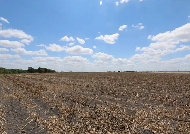 Photo 3 of Land for sale at 0 Cr 119, Hutto, TX 78634 | MLS# 62988446 | Listing updated on 2025-12-02