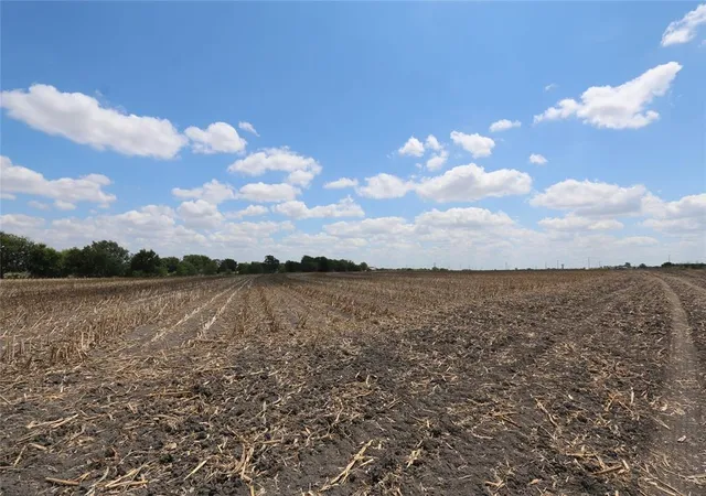 Photo 4 of Land for sale at 0 Cr 119, Hutto, TX 78634 | MLS# 62988446 | Listing updated on 2025-12-02