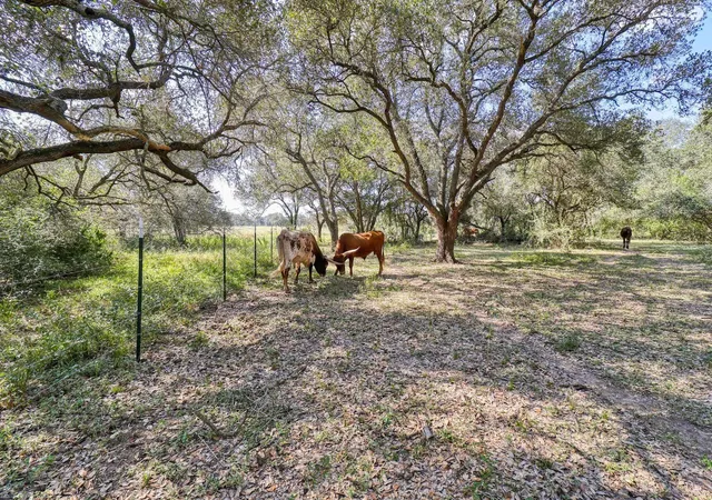 5th image of 0 Hwy 90, Rock Island, TX 77470 | MLS# 31758199
