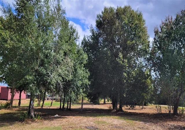 4th image of 20714 Pearl St, Waller, TX 77484 | MLS# 80022234