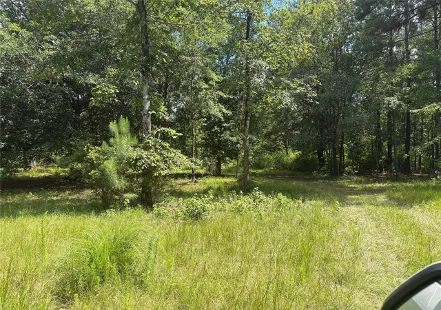 2nd image of 3133 County Road 4525, Warren, TX 77664 | MLS# 12490766