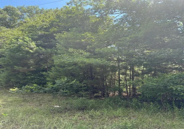 3rd image of 3133 County Road 4525, Warren, TX 77664 | MLS# 12490766
