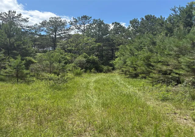 8th image of 3133 County Road 4525, Warren, TX 77664 | MLS# 12490766