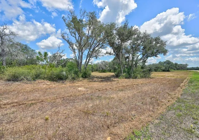 3rd image of Tbd Wigeon Lane, Columbus, TX 78934 | MLS# 27614315