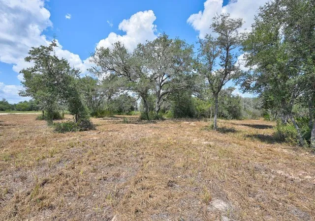 4th image of Tbd Wigeon Lane, Columbus, TX 78934 | MLS# 27614315