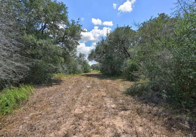 5th image of Tbd Wigeon Lane, Columbus, TX 78934 | MLS# 27614315