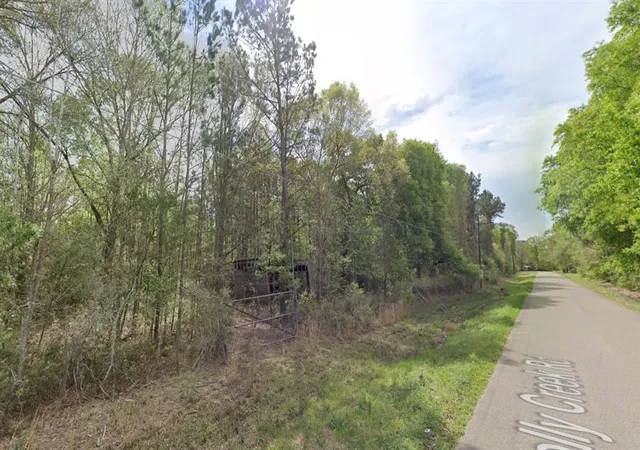 Photo 3 of Land for sale at 301 Holly Creek Rd, Cleveland, TX 77328 | MLS# 85515497 | Listing updated on 2026-01-07