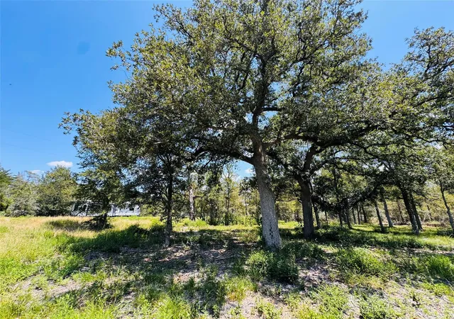 18th image of 1132 Kickler, Fayetteville, TX 78940 | MLS# 98617403