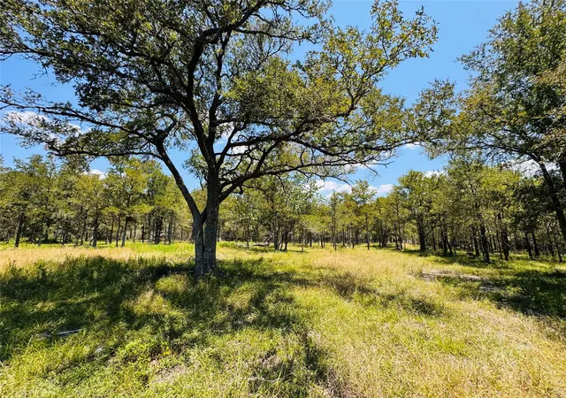 2nd image of 1132 Kickler, Fayetteville, TX 78940 | MLS# 98617403