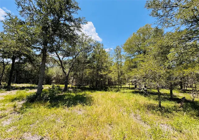 4th image of 1132 Kickler, Fayetteville, TX 78940 | MLS# 98617403