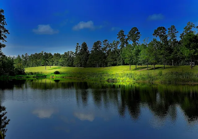Photo 4 of Land for sale at 18 N Badger Lodge Cir, Spring, TX 77389 | MLS# 89211281 | Listing updated on 2026-06-18