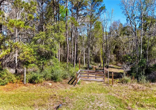 Photo 2 of Land for sale at 21223 Peach Wood, Cleveland, TX 77328 | MLS# 45609371 | Listing updated on 2026-03-20