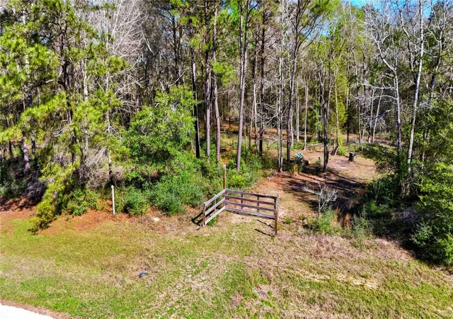 Photo 2 of Land for sale at 21223 Peach Wood, Cleveland, TX 77328 | MLS# 45609371 | Listing updated on 2026-03-20