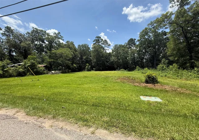 Homes for sale in Willis, TX | Lot 15, 16 Frontier Rd, Willis, TX 77378 | MLS# 44790680