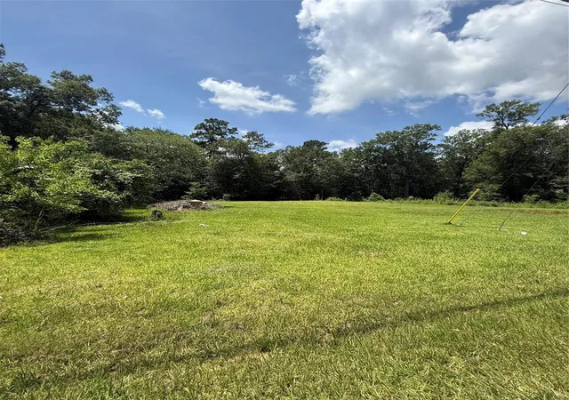 Homes for sale in Willis, TX | Lot 15, 16 Frontier Rd, Willis, TX 77378 | MLS# 44790680