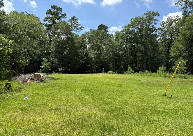 Homes for sale in Willis, TX | Lot 15, 16 Frontier Rd, Willis, TX 77378 | MLS# 44790680