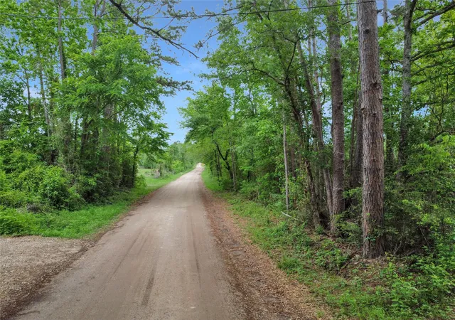 9th image of 00 Raven Hill Rd, Oakhurst, TX 77359 | MLS# 62981473