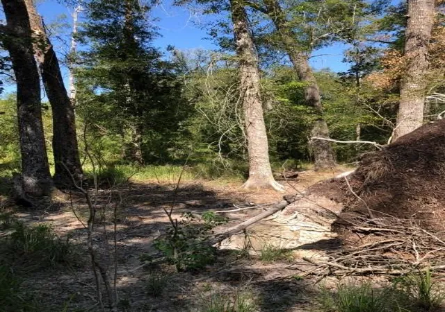 2nd image of 0 Co Rd 2746, Cleveland, TX 77327 | MLS# 30136012