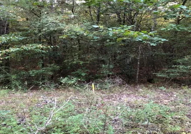 3rd image of 0 Co Rd 2746, Cleveland, TX 77327 | MLS# 30136012