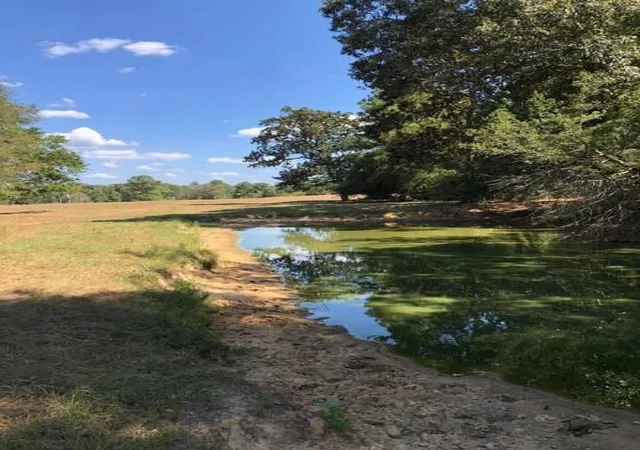 4th image of 0 Co Rd 2746, Cleveland, TX 77327 | MLS# 30136012