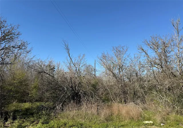 15th image of 34159 Butternut Ln, Brookshire, TX 77423 | MLS# 77994725