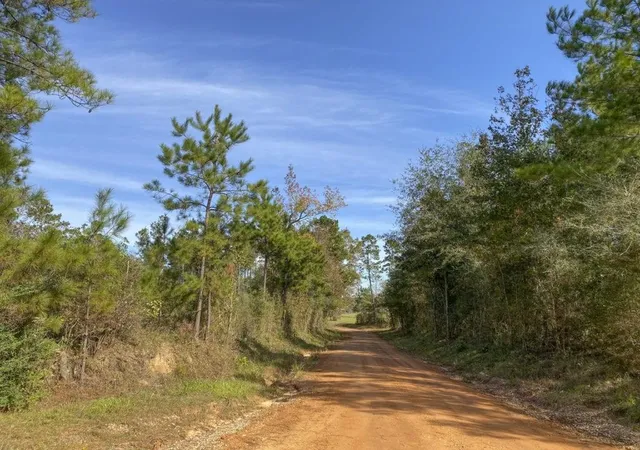 Photo 3 of Land for sale at Tbd Cr 1150, Woodville, TX 75979 | MLS# 74403768 | Listing updated on 2026-08-30