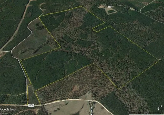 Photo 4 of Land for sale at Tbd Cr 1150, Woodville, TX 75979 | MLS# 74403768 | Listing updated on 2026-08-30
