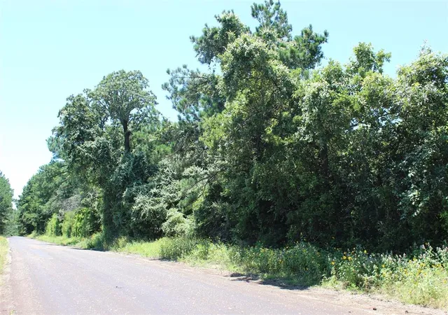Homes for sale in Centerville, TX | 9417 County Road 114, Centerville, TX 75833 | MLS# 24147200