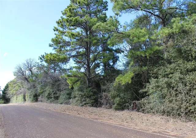 Homes for sale in Centerville, TX | 9417 County Road 114, Centerville, TX 75833 | MLS# 24147200