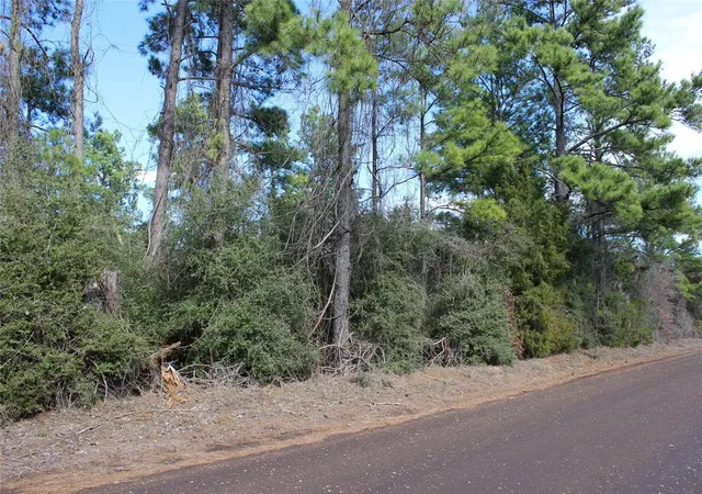 Homes for sale in Centerville, TX | 9417 County Road 114, Centerville, TX 75833 | MLS# 24147200