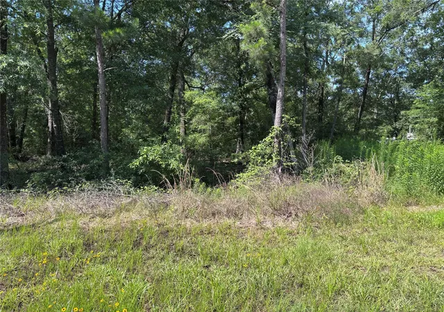 Photo 2 of Land for sale at 00 Southland, Livingston, TX 77351 | MLS# 38432160 | Listing updated on 2026-07-22