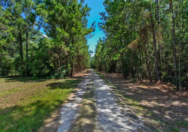 Homes for sale in Plantersville, TX | 9195 County Road 207, Plantersville, TX 77363 | MLS# 68236812