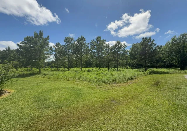 2nd image of ***** Tranquil Trace St, Alvin, TX 77511 | MLS# 52969543