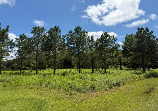 Photo 3 of Land for sale at ***** Tranquil Tr St, Alvin, TX 77511 | MLS# 52969543 | Listing updated on 2026-08-31
