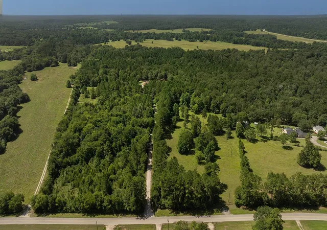 2nd image of 5132 Mount Zion Rd, New Waverly, TX 77358 | MLS# 13573426