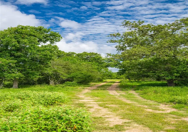 Photo 2 of Land for sale at 0 Cr 1, Morales Sanchez, TX 77957 | MLS# 86058260 | Listing updated on 2026-06-25