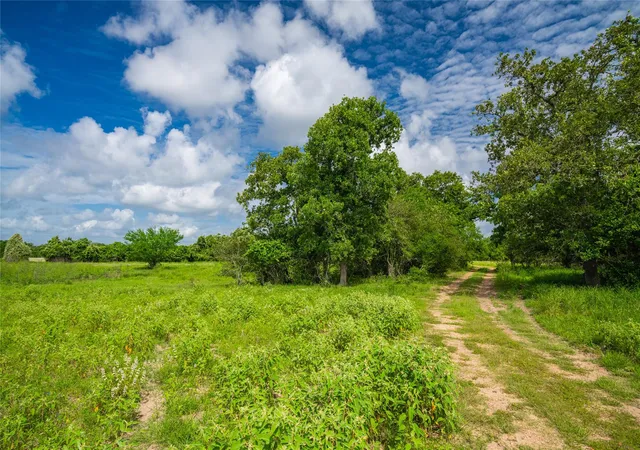 Photo 3 of Land for sale at 0 Cr 1, Morales Sanchez, TX 77957 | MLS# 86058260 | Listing updated on 2026-06-25