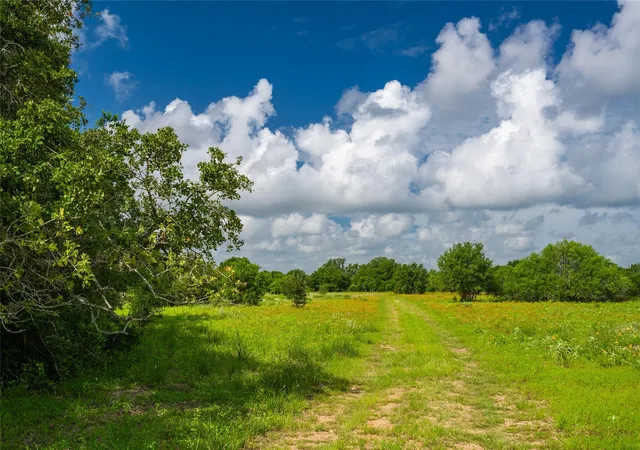 Photo 3 of Land for sale at 0 Cr 1, Morales Sanchez, TX 77957 | MLS# 86058260 | Listing updated on 2026-06-25