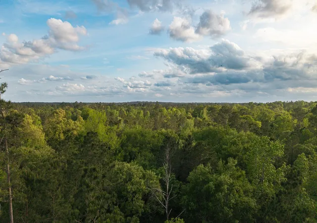 Photo 3 of Land for sale at 1 7 14 Forever Rd, New Waverly, TX 77358 | MLS# 91672903 | Listing updated on 2026-09-19