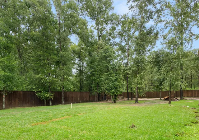 31st image of 27656 Rio Blanco Dr, Splendora, TX 77372 | MLS# 62665629