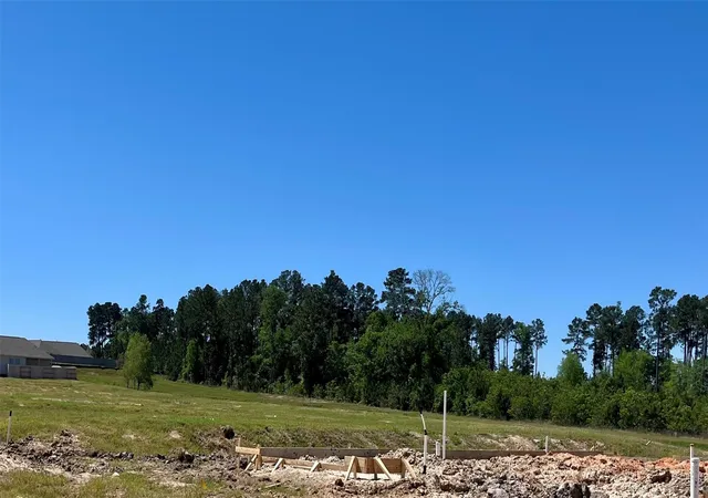 Photo 3 of Sale Pending at 40688 Mostyn Lake Dr, Magnolia, TX 77354 | MLS# 69319400 | Listing updated on 2026-08-24