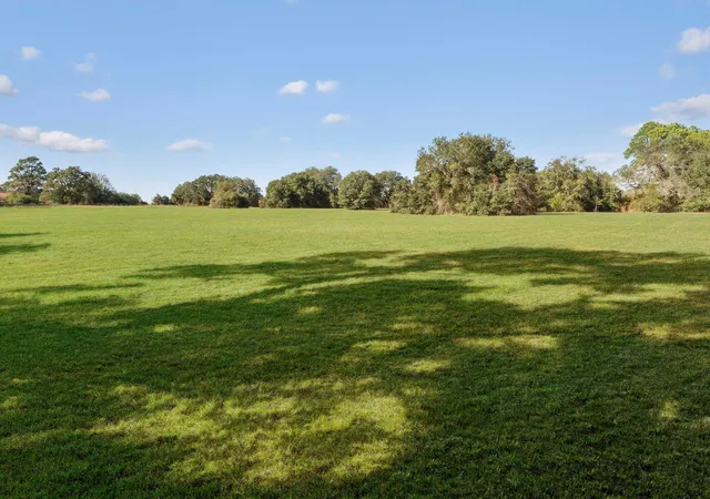 Photo 4 of Land for sale at 0 Fm 1488, Waller, TX 77484 | MLS# 81619820 | Listing updated on 2026-07-17