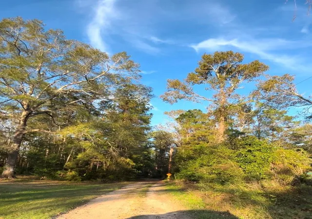Photo 3 of Land for sale at 3430 Harden Holly Rd, Porter, TX 77365 | MLS# 63469188 | Listing updated on 2026-08-19