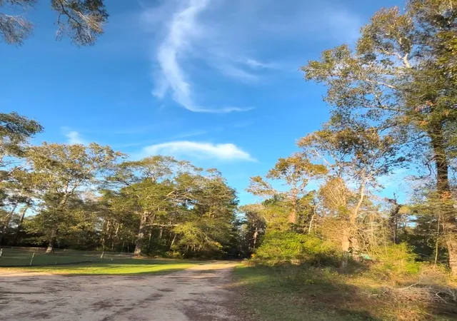 5th image of 3430 Harden Holly Rd, Porter, TX 77365 | MLS# 63469188