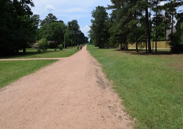 Photo 4 of Land for sale at 3203 Meadowlark Ln, Montgomery, TX 77356 | MLS# 94683315 | Listing updated on 2026-04-28